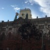 IMG_5254